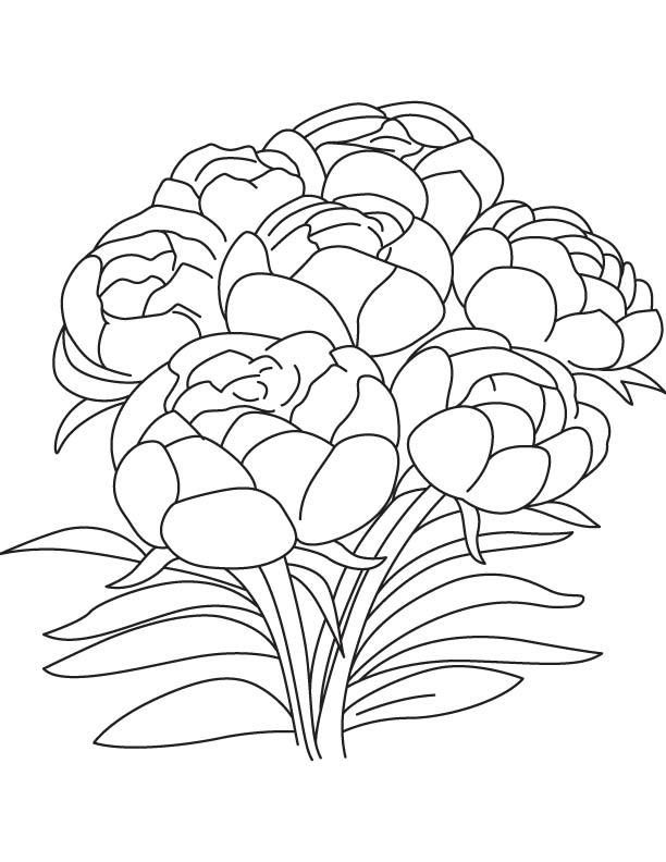50